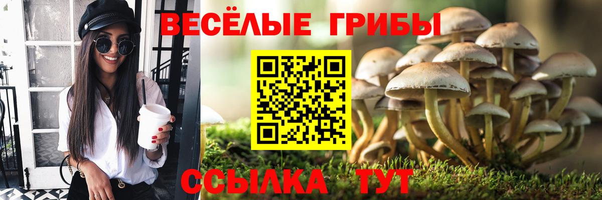 Галлюциногенные грибы ЛСД  Галлюциногенные грибы MAGIC MUSHROOMS  Нововоронеж  Вход с VPN 