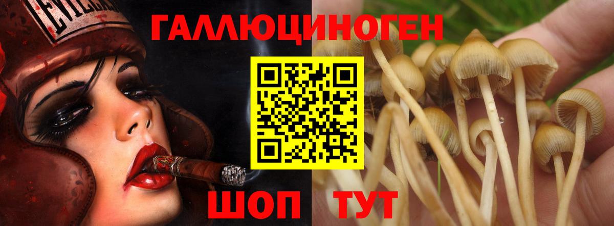 Нововоронеж  ГАШ  COCAIN  Вход с VPN  Метамфетамин  Цена  НБОМе  MDMA  Меф кристаллы  МАРИХУАНА 