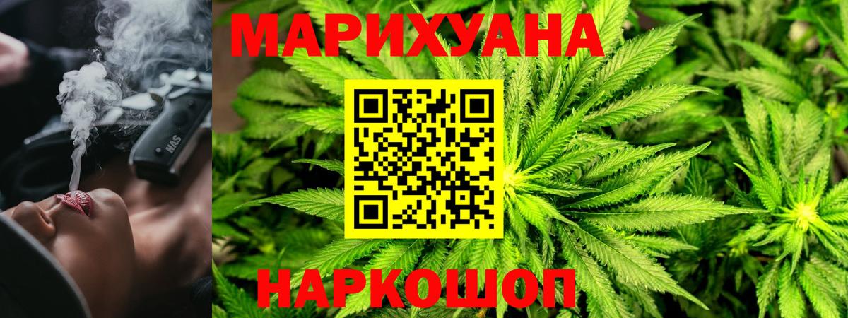 Канабис планчик Нововоронеж
